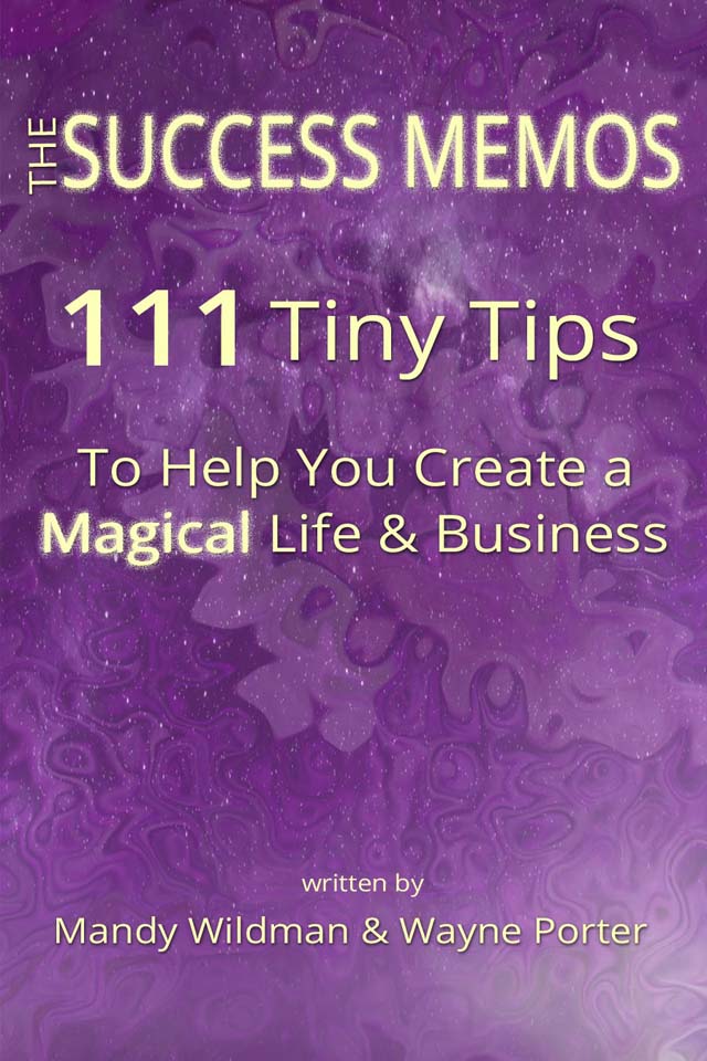 The Success Memos by Mandy Wildman and Wayne Porter