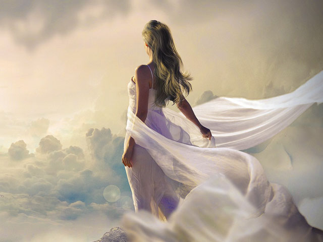 Spirit Guide Reading